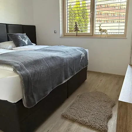 דירה Mojca In&out - Apartmaji Lena *