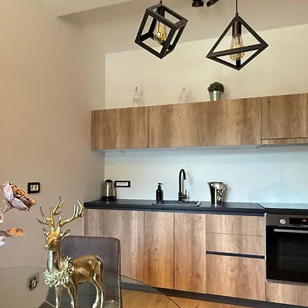 דירה Mojca In&out - Apartmaji Lena קרנייסקה גורה
