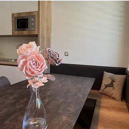 דירה Mojca In&out - Apartmaji Lena